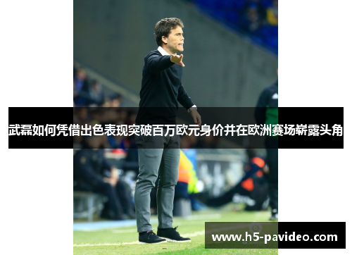 武磊如何凭借出色表现突破百万欧元身价并在欧洲赛场崭露头角