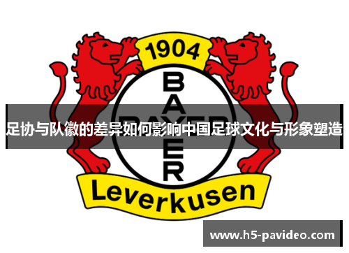 足协与队徽的差异如何影响中国足球文化与形象塑造