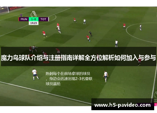 魔力鸟球队介绍与注册指南详解全方位解析如何加入与参与 魔力鸟球队介绍与注册指南详解全方位解析如何加入与参与