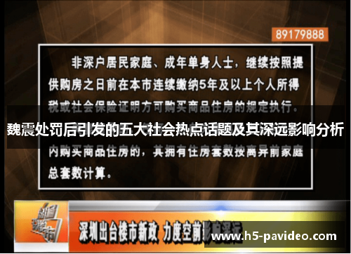 魏震处罚后引发的五大社会热点话题及其深远影响分析 魏震处罚后引发的五大社会热点话题及其深远影响分析