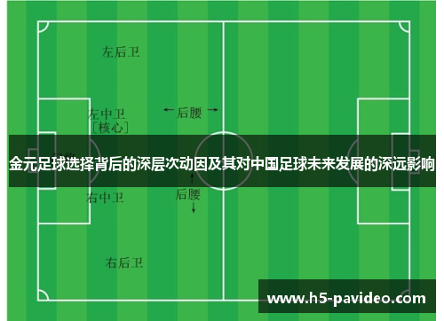 金元足球选择背后的深层次动因及其对中国足球未来发展的深远影响 金元足球选择背后的深层次动因及其对中国足球未来发展的深远影响