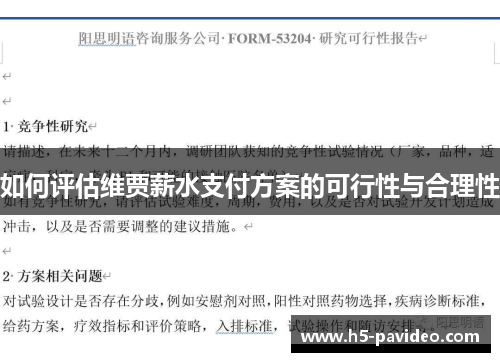 如何评估维贾薪水支付方案的可行性与合理性