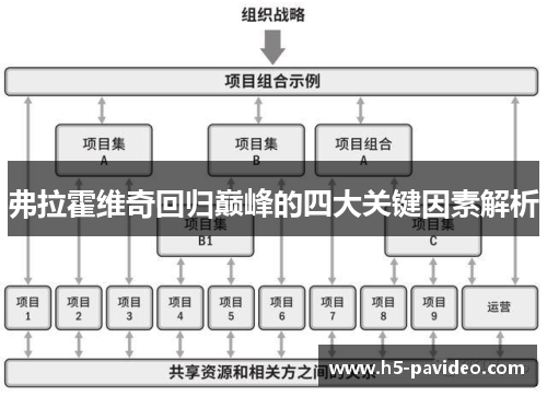 弗拉霍维奇回归巅峰的四大关键因素解析