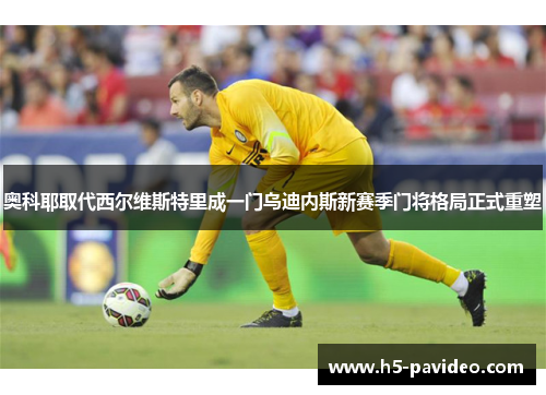 奥科耶取代西尔维斯特里成一门乌迪内斯新赛季门将格局正式重塑