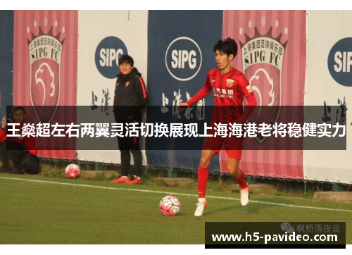 王燊超左右两翼灵活切换展现上海海港老将稳健实力 王燊超左右两翼灵活切换展现上海海港老将稳健实力
