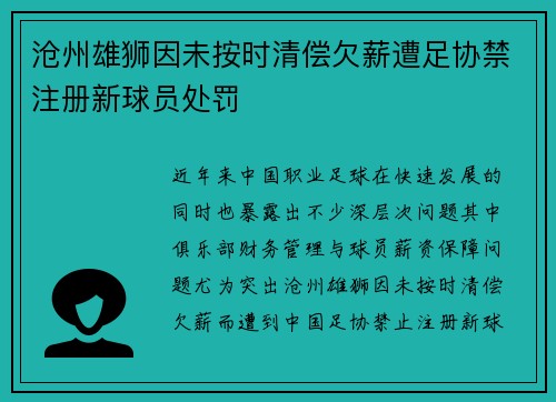 沧州雄狮因未按时清偿欠薪遭足协禁注册新球员处罚