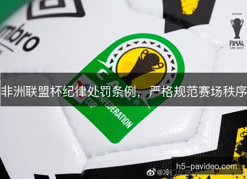 非洲联盟杯纪律处罚条例，严格规范赛场秩序