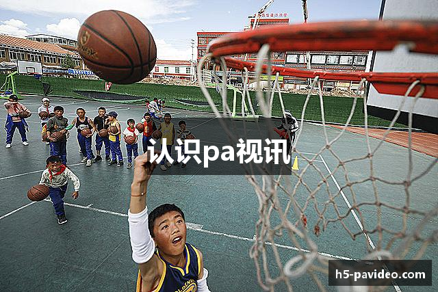 认识pa视讯